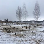 Фото №3 Винтовые сваи в наличии