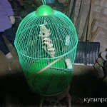 Фото №2 Клетка для попугаев.