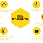 Фото №2 Грузчики, грузоперевозки, разнорабочие