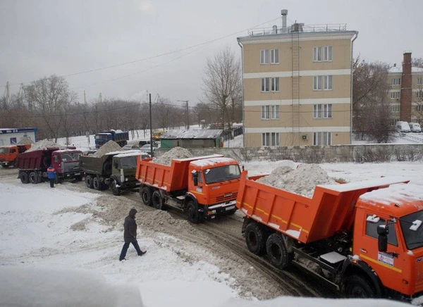 Фото Уборка и вывоз снега