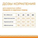 Фото №5 Сухой корм для взрослых собак feeldog 14 кг