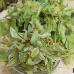 Фото №3 Лекарственные травы, фиточаи и фитосборы