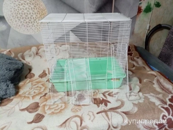 Фото Клетка