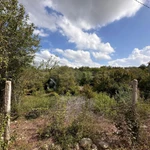 Фото №2 Лот  74557 Продается земельный участок 11 соток в СТ "Эврика".