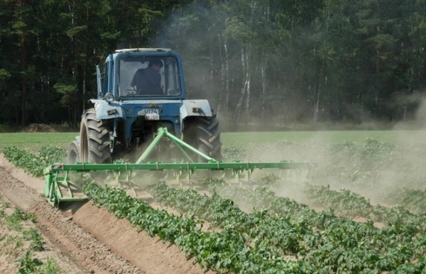 Фото Пассивный гребнеобразователь КГП 4х70-75