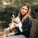 Фото №4 Красавица Грея в поисках дома и хозяина