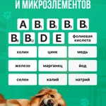 Фото №4 Сухой корм для собак средних и крупных пород Nuwak 12 КГ