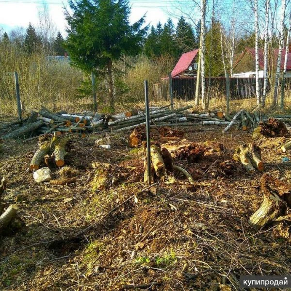 Фото Уборка,благоустройство,зачистка участка,планировка