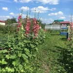 Фото №6 Дача 20 м2 Липовый остров