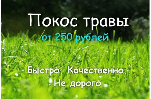 Фото Скашивание травы тримером 