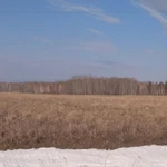 Фото №5 Продам 10 гектар сельхоз.земля