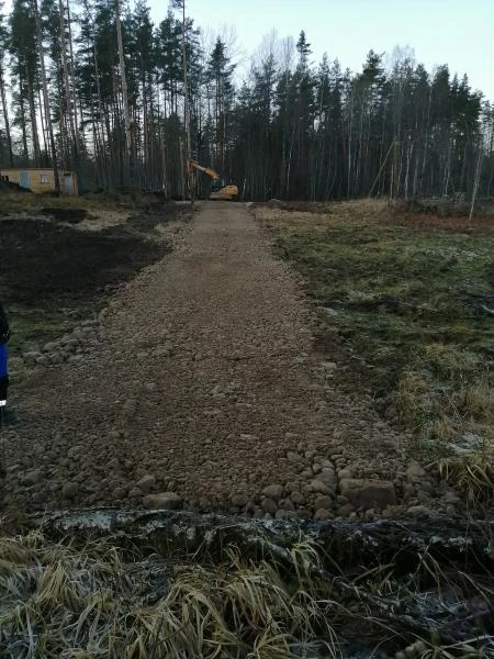 Фото Выпил деревьев на участке с раскорчёвкой
