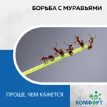 Обработка от муравьёв 