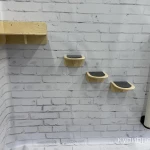 Фото №7 Настенный комплекс для кошек