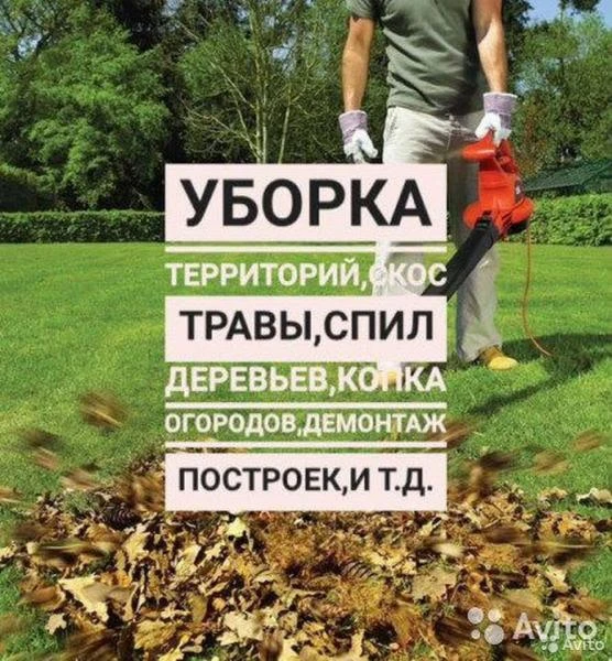 Фото Спил деревьев в Энгельс