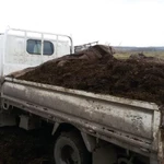 Фото №4 Уголь тоннами и мешками,навоз,перегной,торф