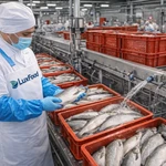 фото Увеличим выход рыбной продукции