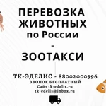 Перевозка животных Темрюк