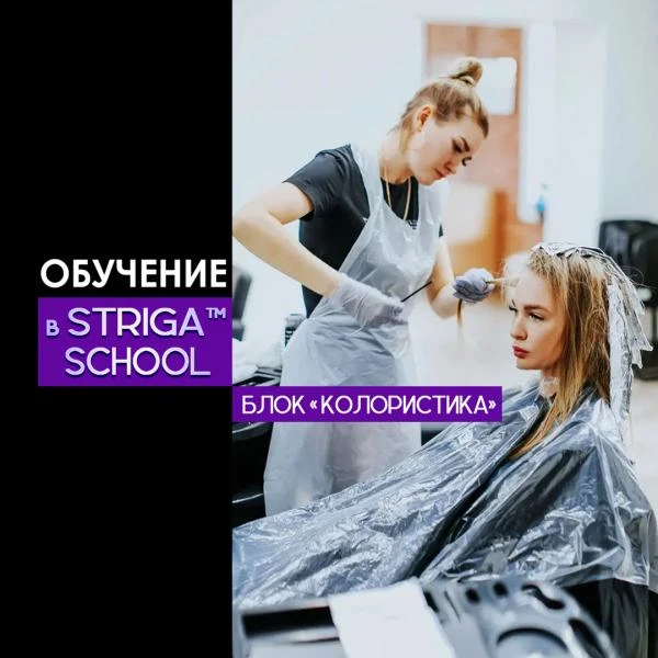Фото Парикмахерские курсы. Базовое обучение колористике