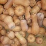 фото Продам тыкву.