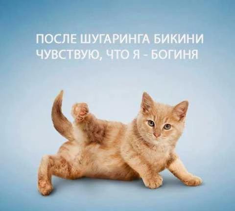 Фото Депиляция, шугаринг