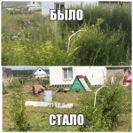 Фото №11 Покос травы триммером, вырубка деревьев. Уфа