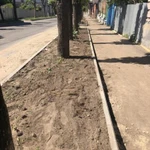 Фото №3 Асфальтирование и уклатка тротуарная плитки 