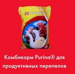 фото Комбикорм для продуктивных перепелов Purina