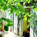 Фото №10 Дача 6 соток, СНТ Центральный, Дубовский р-н, Волгоградская обл.