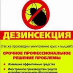Фото №3 Уничтожение насекомых и грызунов