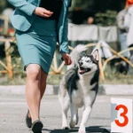 Фото №7 Хендлер