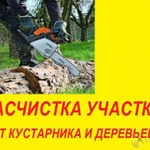 Фото №2 Спил, обрезка деревьев веток кустарников. Выезд