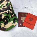 фото Грецкие орехи из Новороссии.