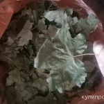 Фото №5 Клён листья. Цена за 100 грамм.