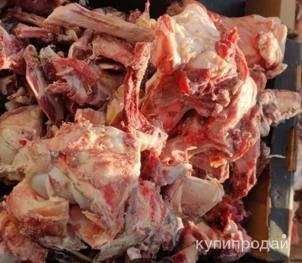 Фото Покупаем обрезь свинную, говяжью, кости