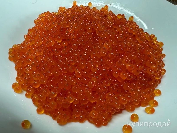 Фото Продам красную икру кеты