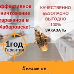 Уничтожение тараканов в Хабаровске все районы