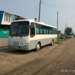 Аренда Прокат Заказ автобуса