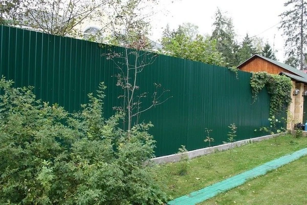 Фото Заборы