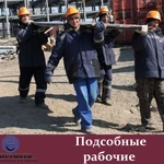 Фото №2 Услуги разнорабочих