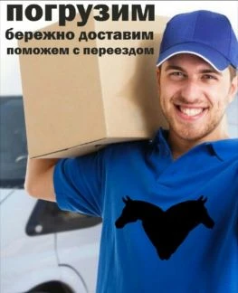 Фото Грузоперевозки