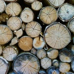 Фото №4 Дрова Березовые колотые . 1100куб.