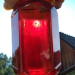 Фото №5 Пасека моргунова