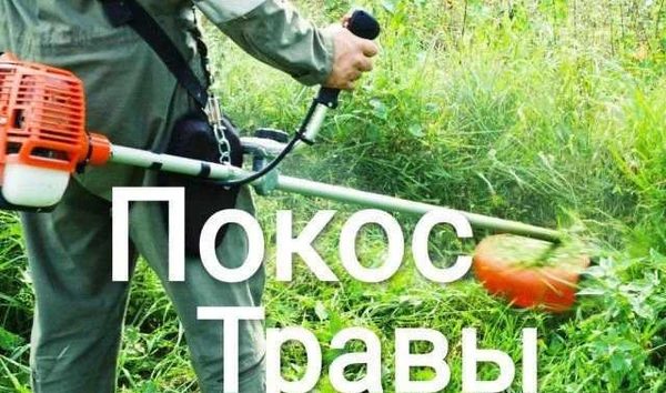 Фото Покос травы