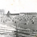 фото Мёд, трутневой гомогенат, маточное молочко