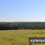Фото №10 ⭕ЗЕМЛЯ 32,1га. ЛЕС, БОЛЬШОЙ РУЧЕЙ.