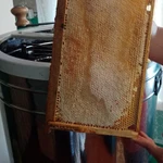 Фото №2 Мёд натуральный. Тамбов