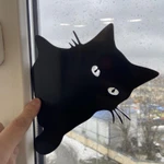 Фото №6 Подглядывающий кот в окно