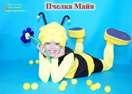 Фото Аниматоры Мыльные пузыри Дед Мороз Шары
