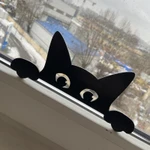 Фото №7 Подглядывающий кот в окно